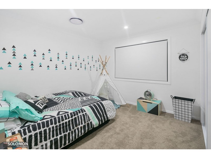 17 Princess Street, Cleveland QLD 4163