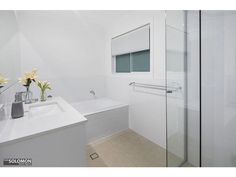 17 Princess Street, Cleveland QLD 4163