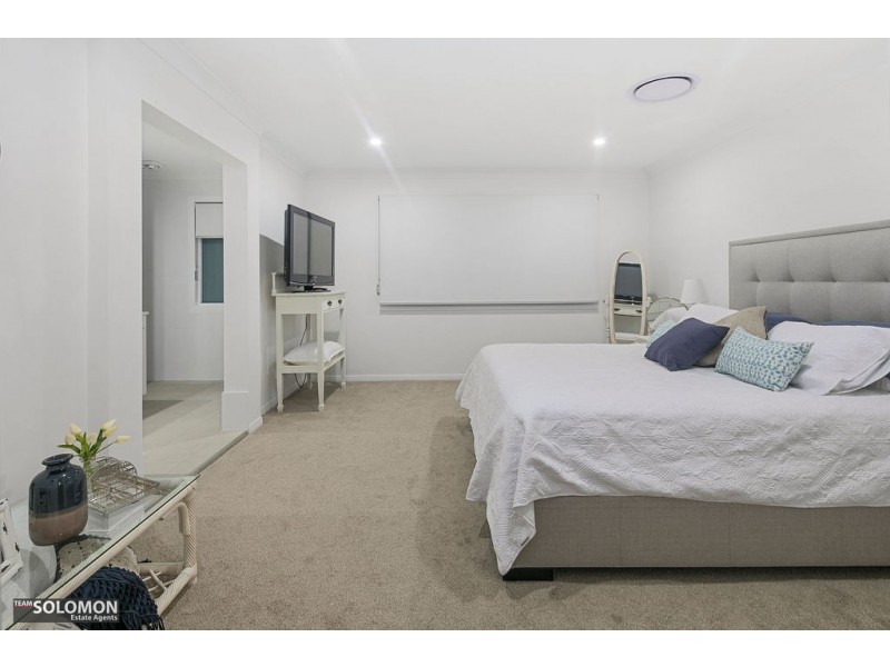 17 Princess Street, Cleveland QLD 4163