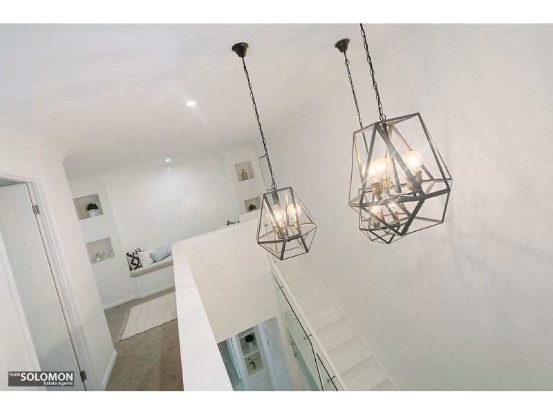 17 Princess Street, Cleveland QLD 4163