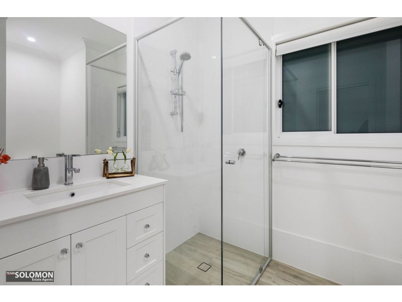 17 Princess Street, Cleveland QLD 4163