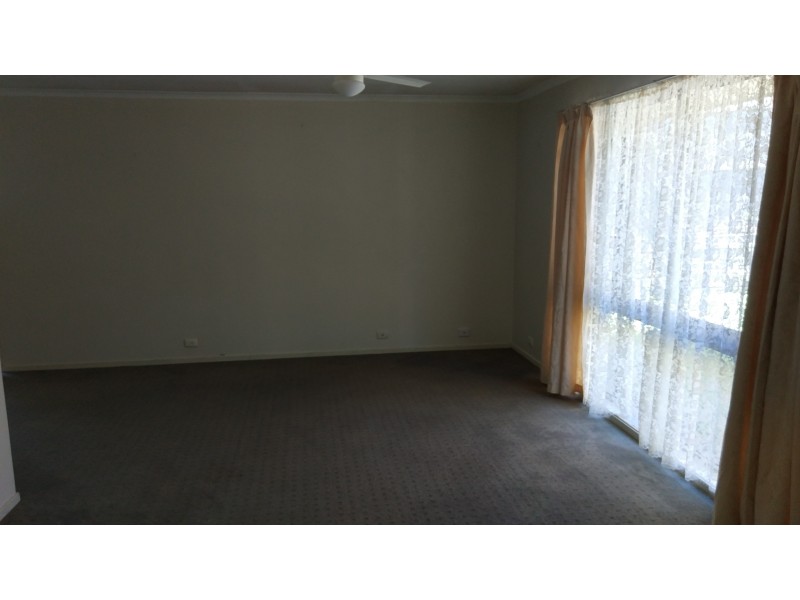 17 Durham Street, Alexandra Hills QLD 4161