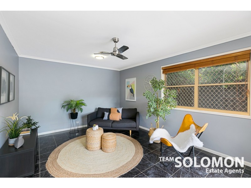 46 Long Street, Cleveland QLD 4163