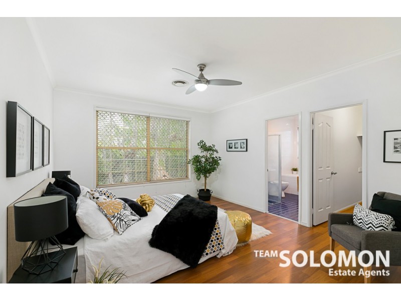 46 Long Street, Cleveland QLD 4163