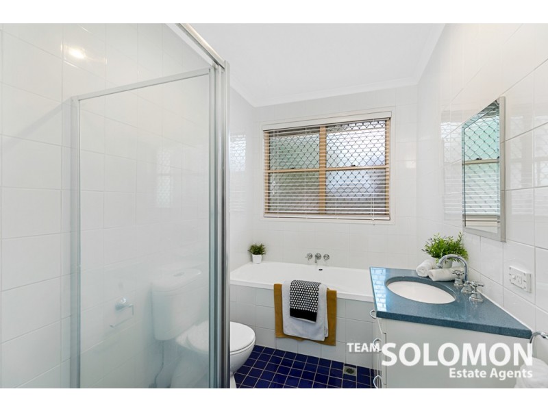 46 Long Street, Cleveland QLD 4163