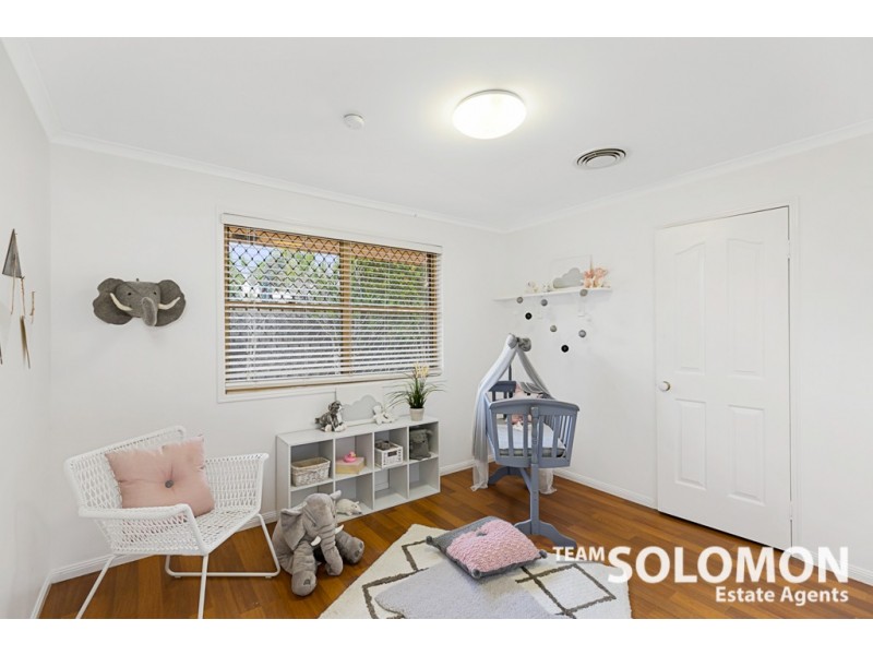 46 Long Street, Cleveland QLD 4163