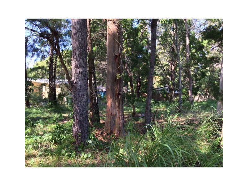 19 Capembah Street, Coochiemudlo Island QLD 4184