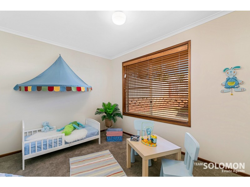 19 MacGregor Drive, Birkdale QLD 4159
