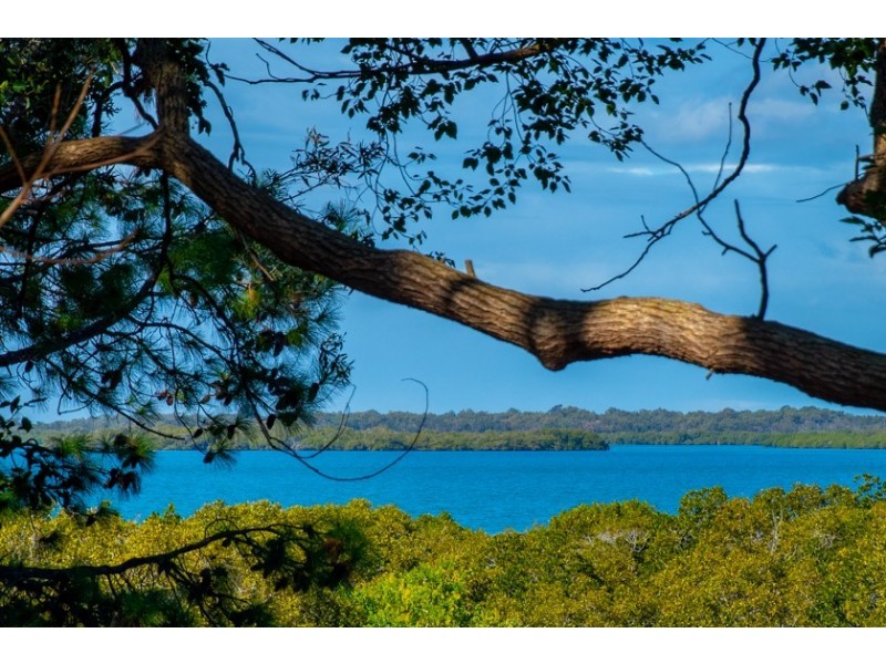 Cleveland QLD 4163