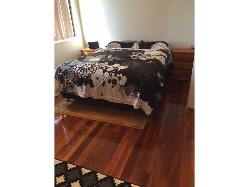 16 Trio Street, Cleveland QLD 4163