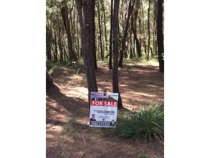33 Aquamarine Avenue, Russell Island QLD 4184