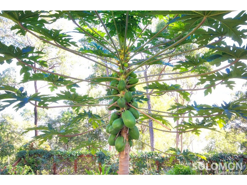 21 Cliff Terrace, Macleay Island QLD 4184