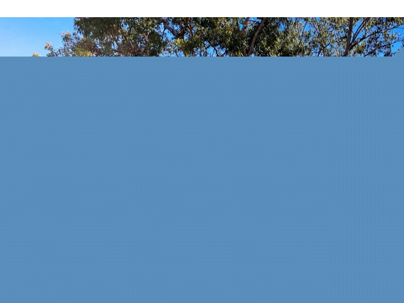 21 Cliff Terrace, Macleay Island QLD 4184