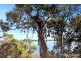 21 Cliff Terrace, Macleay Island QLD 4184
