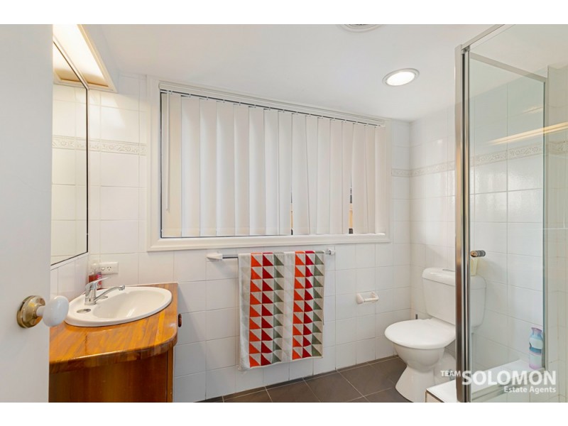 11 Francene Place, Birkdale QLD 4159