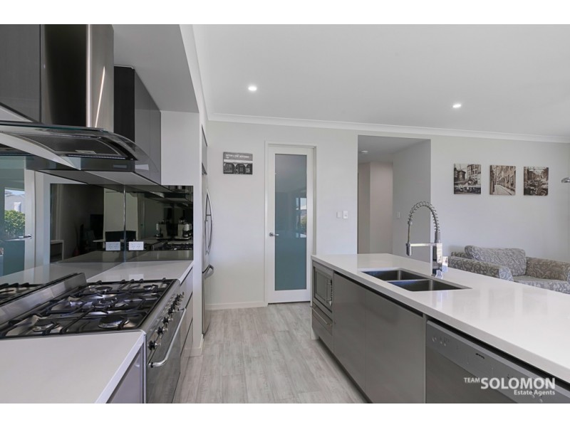 20 Nelson Road, Wellington Point QLD 4160