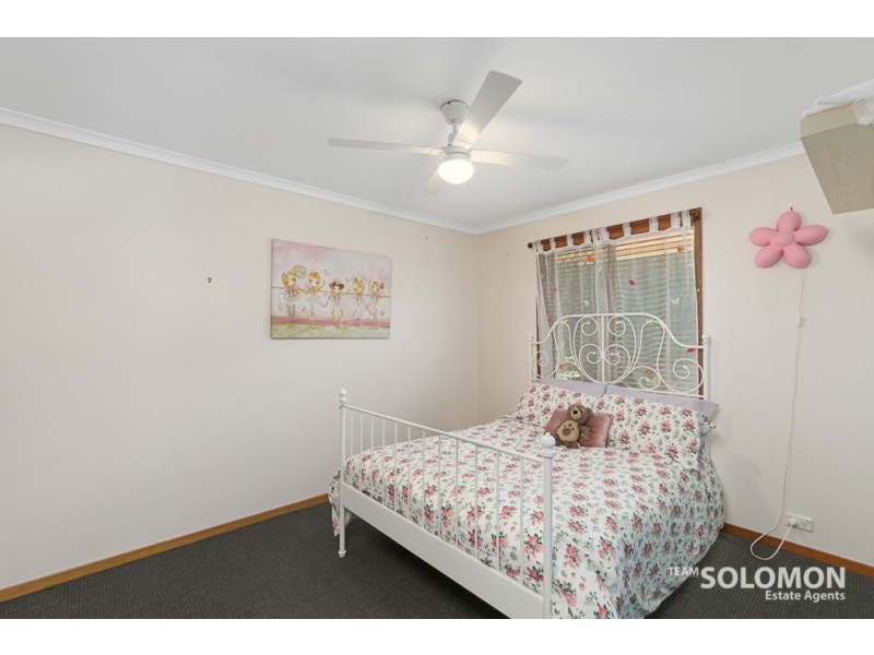 4 Lowrie Court, Cleveland QLD 4163