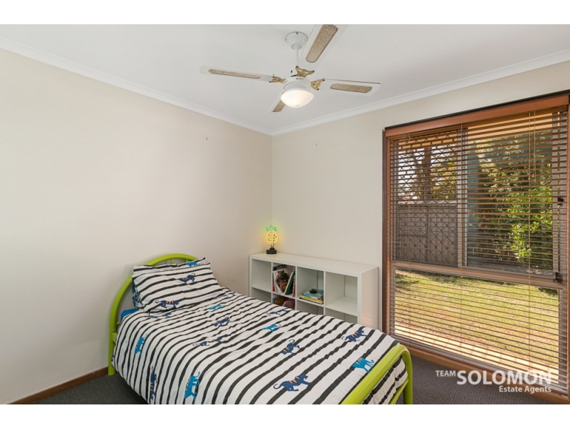 4 Lowrie Court, Cleveland QLD 4163