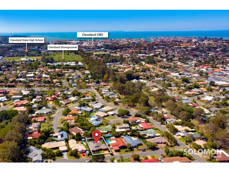 4 Lowrie Court, Cleveland QLD 4163