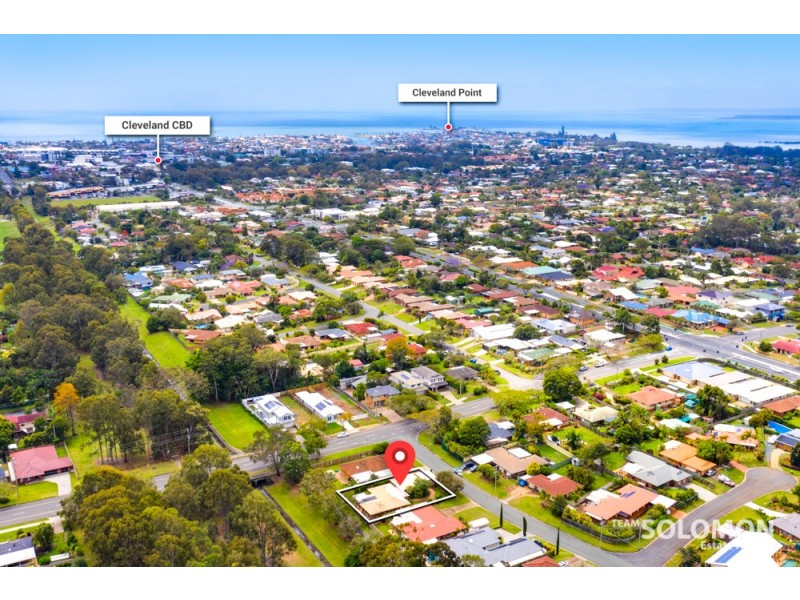 38 Arlington Street, Cleveland QLD 4163