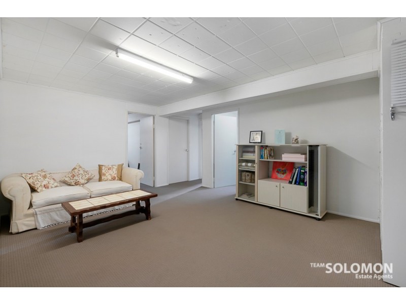 64 Princess Street, Cleveland QLD 4163