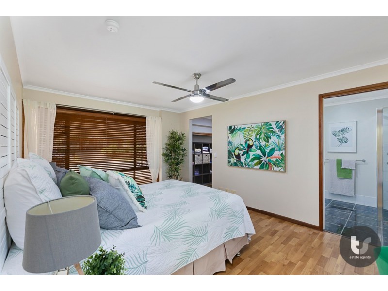 20 Capricorn Drive, Cleveland QLD 4163