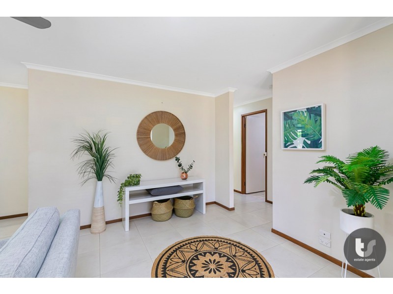 20 Capricorn Drive, Cleveland QLD 4163