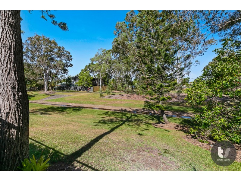 20 Capricorn Drive, Cleveland QLD 4163