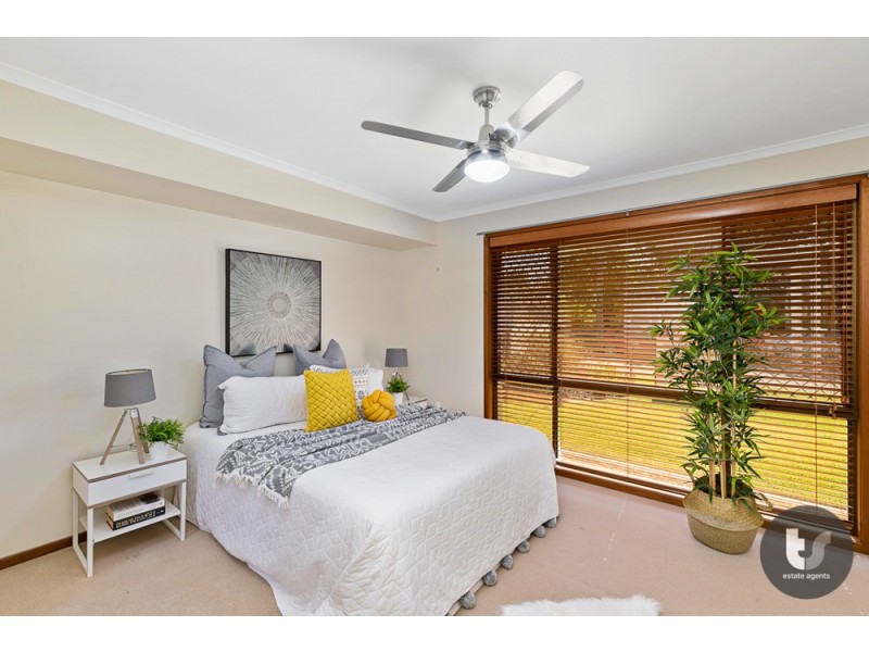 20 Capricorn Drive, Cleveland QLD 4163