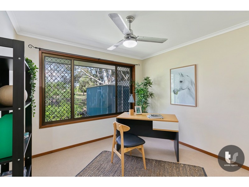 20 Capricorn Drive, Cleveland QLD 4163