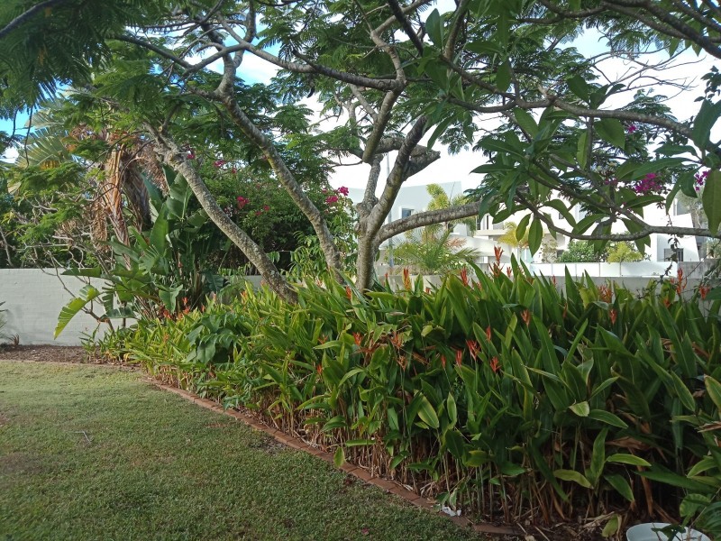 2 Medina Court, Ormiston QLD 4160