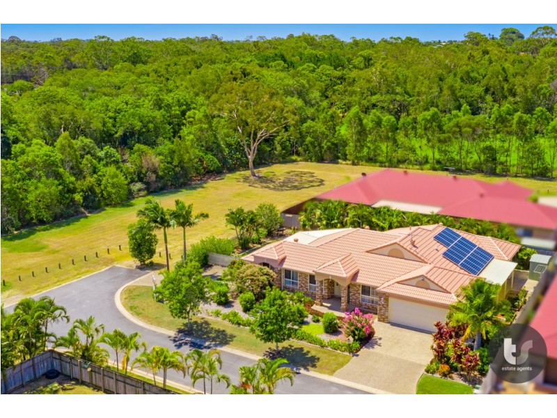 19 Lilly Lane, Birkdale QLD 4159