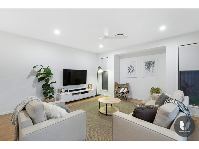 15 Vassi Concord, Cleveland QLD 4163