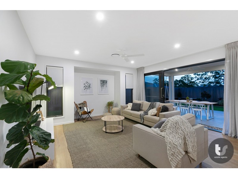 15 Vassi Concord, Cleveland QLD 4163