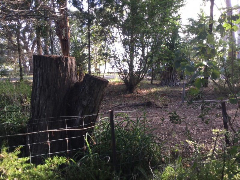 92 Elizabeth Street, Coochiemudlo Island QLD 4184