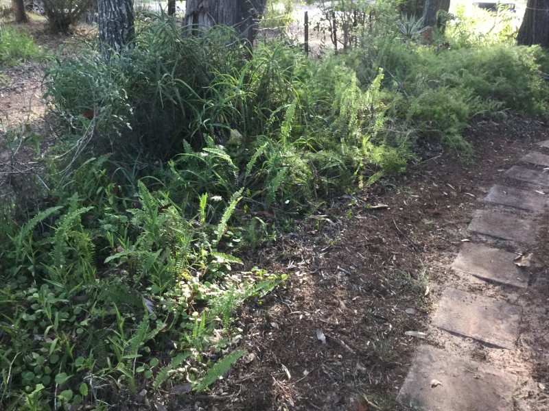 92 Elizabeth Street, Coochiemudlo Island QLD 4184