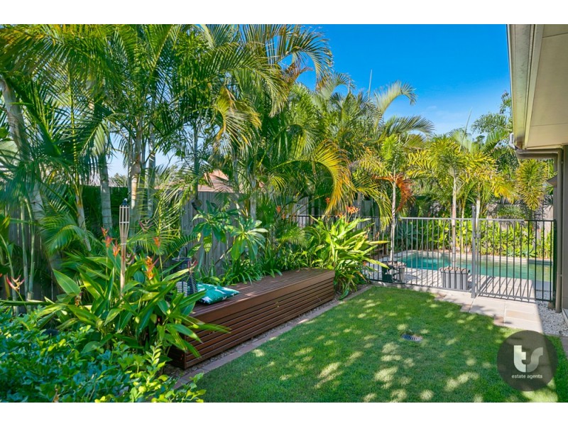 53 Dundas Street, Ormiston QLD 4160
