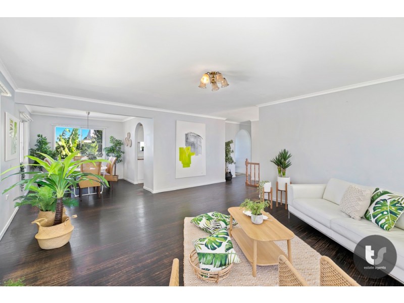 9 Danielle Street, Cleveland QLD 4163