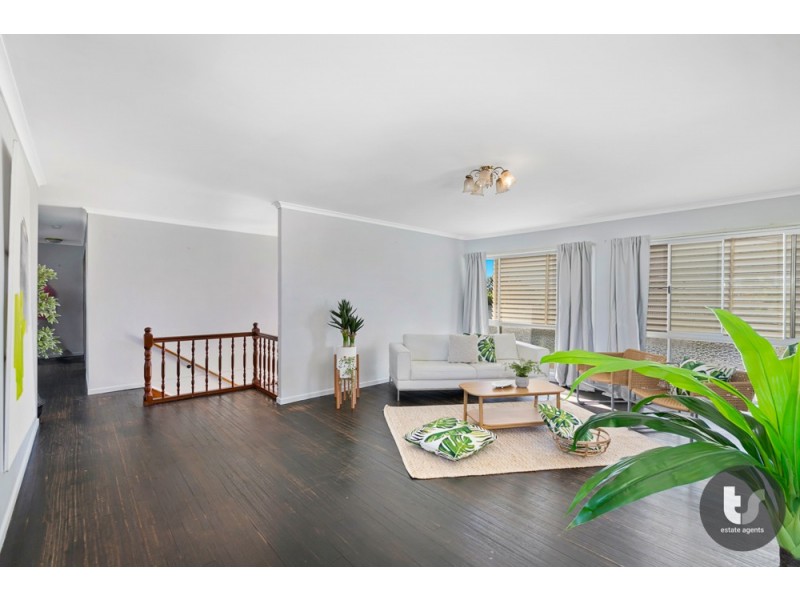 9 Danielle Street, Cleveland QLD 4163