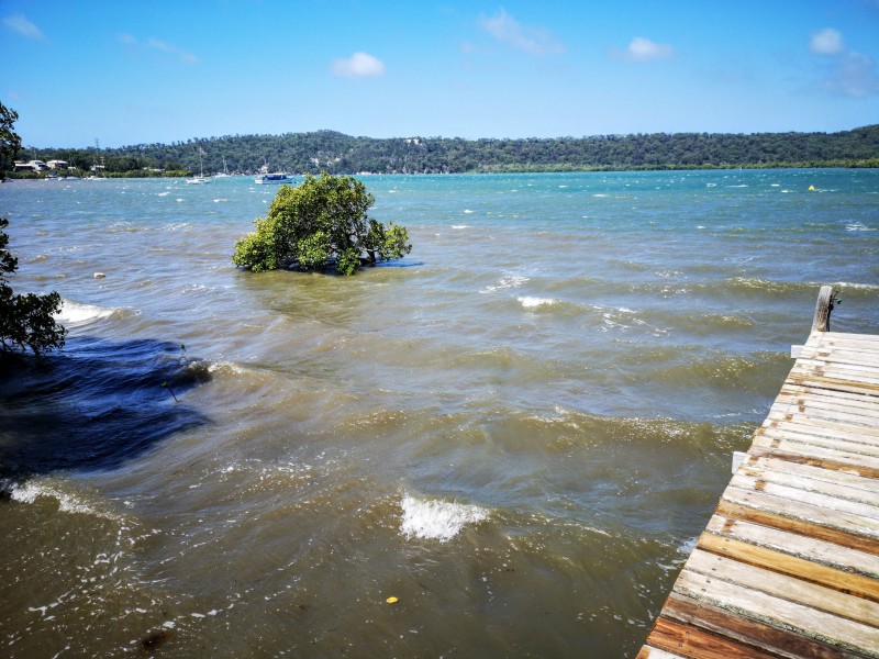 46 Canaipa Point Drive, Russell Island QLD 4184