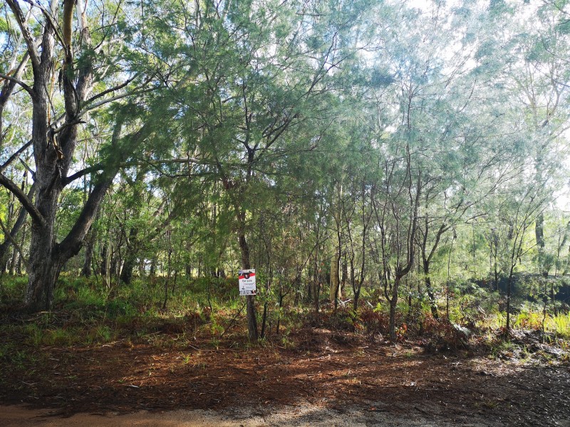 19 Loftus Crs, Russell Island QLD 4184