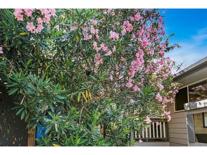 62 Elizabeth Street, Coochiemudlo Island QLD 4184