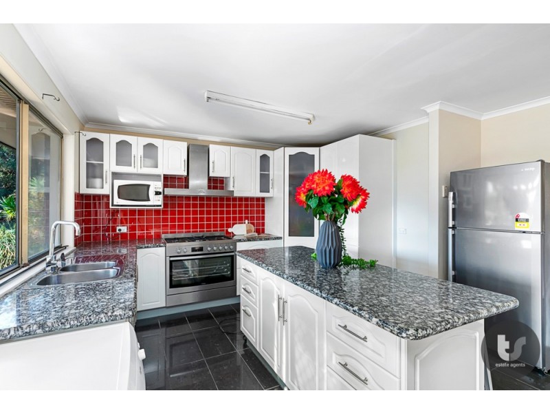 17 Durham Street, Alexandra Hills QLD 4161