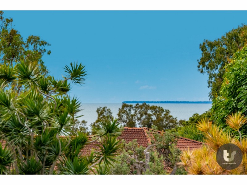 17 Beckwith Street, Ormiston QLD 4160