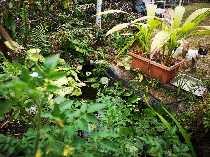 48-50 Stradbroke Drive, Russell Island QLD 4184