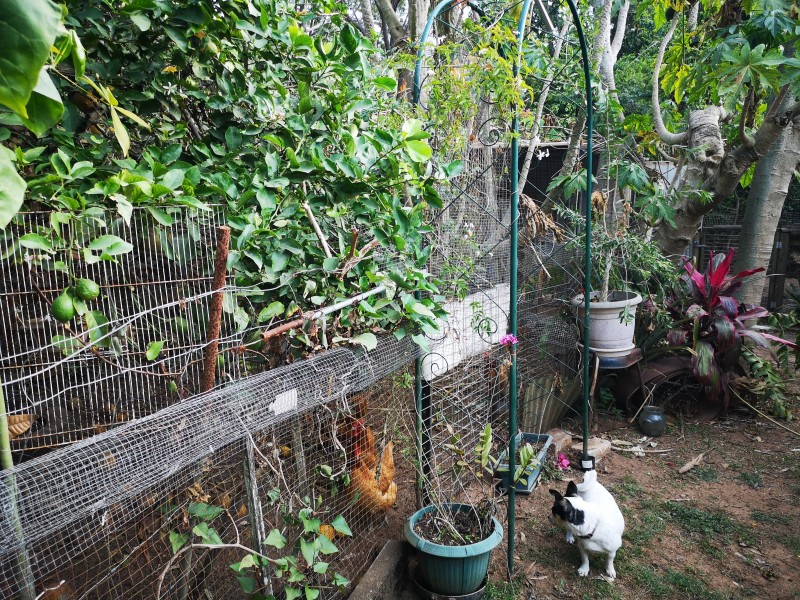 48-50 Stradbroke Drive, Russell Island QLD 4184