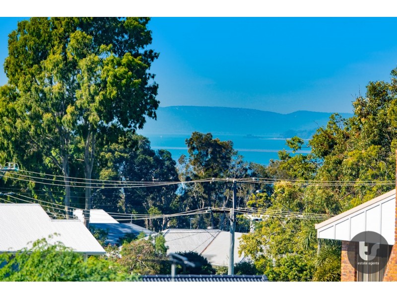 87B Channel Street, Cleveland QLD 4163