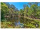82 Booralie Road, Burbank QLD 4156