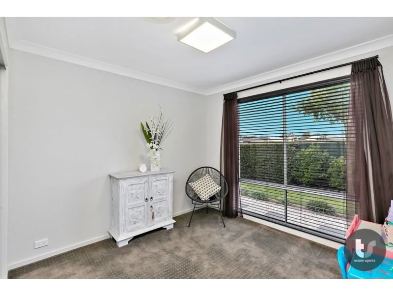 5 Amalia Street, Birkdale QLD 4159