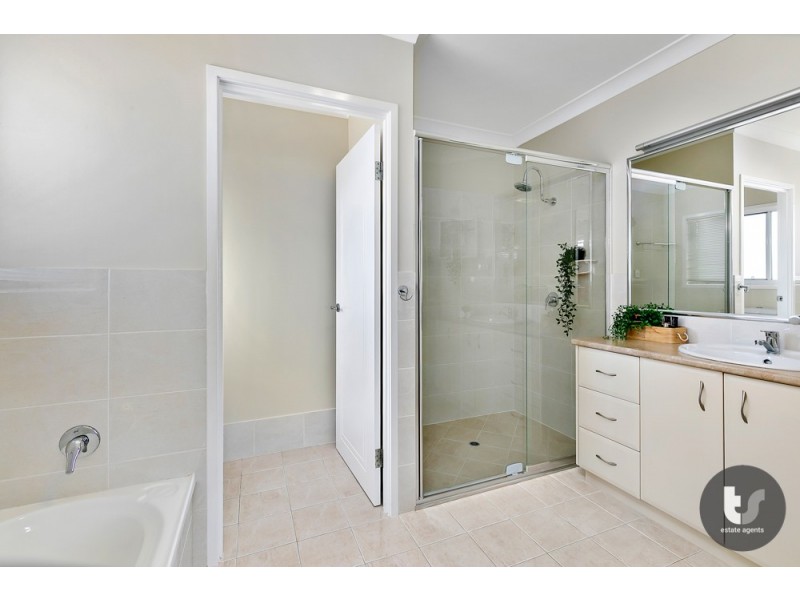 29 Little Shore Street, Cleveland QLD 4163